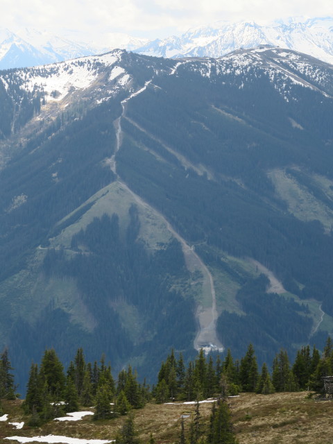 Salersbachk&ouml;pfl (26. Mai)