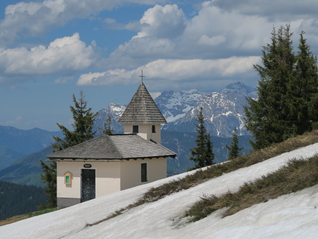 bei der Sch&ouml;nleitenh&uuml;tte (26. Mai)