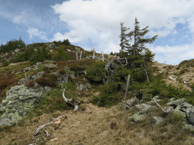 zwischen Sonnspitze und Henlabjoch (27. Mai)