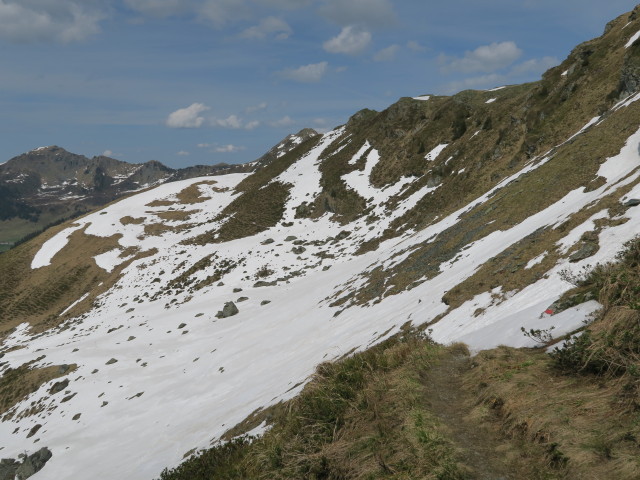 zwischen Henlabjoch und Staffkogel (27. Mai)