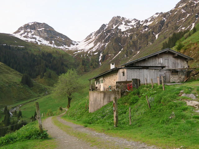 Schlichtenalm (28. Mai)