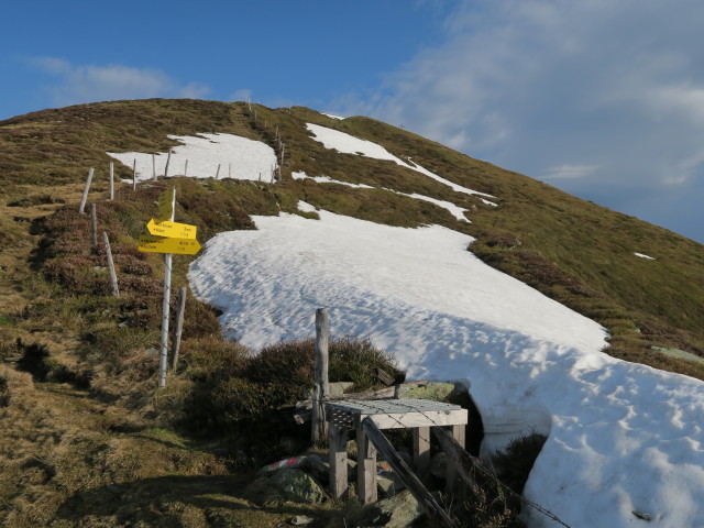 zwischen Schützkogel und Kleinem Schütz (28. Mai)