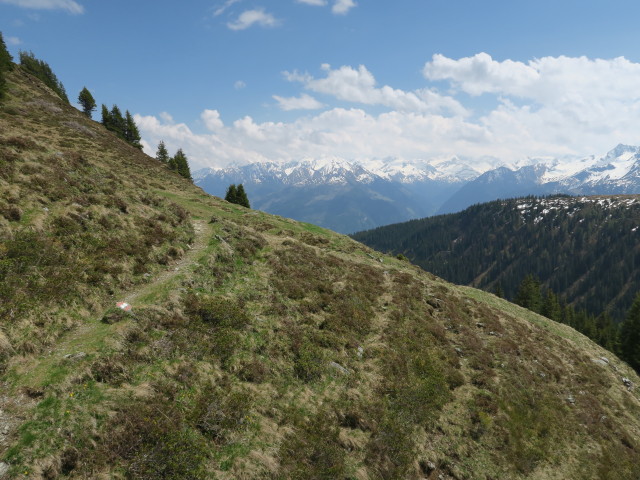 zwischen Murnauer Scharte und Bürglhütte (28. Mai)