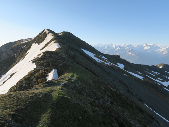 zwischen Zehetner Stange und Manlitzkogel (29. Mai)