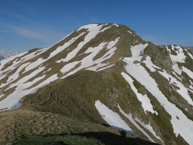 zwischen Manlitzkogel und Rabenkopf (29. Mai)