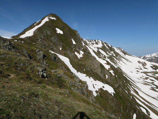 zwischen Manlitzkogel und Rabenkopf (29. Mai)