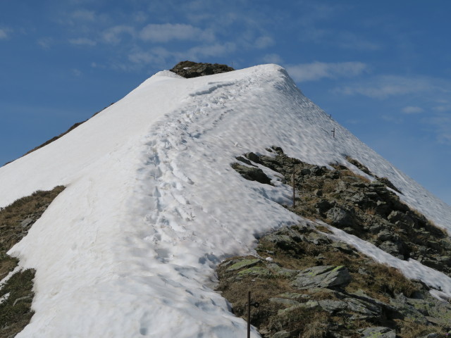 zwischen B&auml;rensteigkopf und Sonnberg (29. Mai)