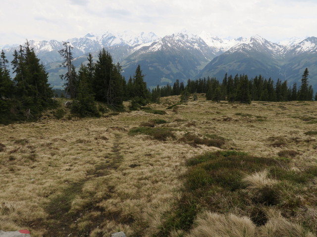 Steinbachriedel (29. Mai)