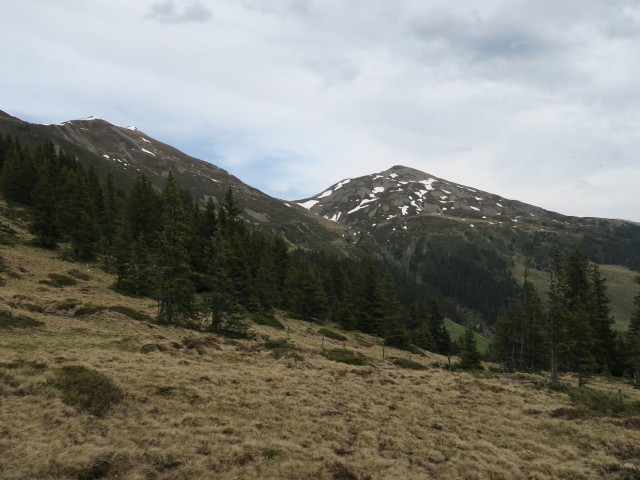 Zirmkogel und Gernkogel vom Steinbachriedel aus (29. Mai)