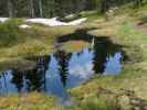 zwischen Scheideckriedel und Geierkogel (26. Mai)