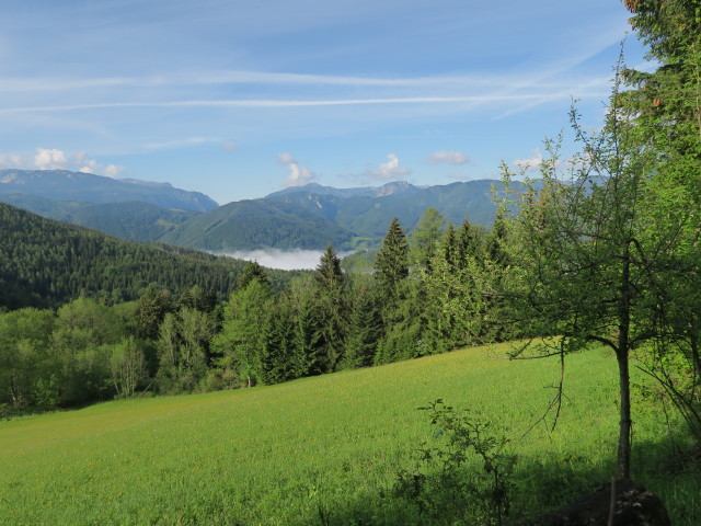 zwischen Grubenfranzl und Freudentaler Mauer