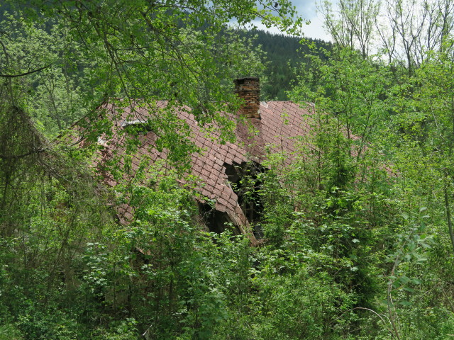 zwischen Falkenstein und Schwarza