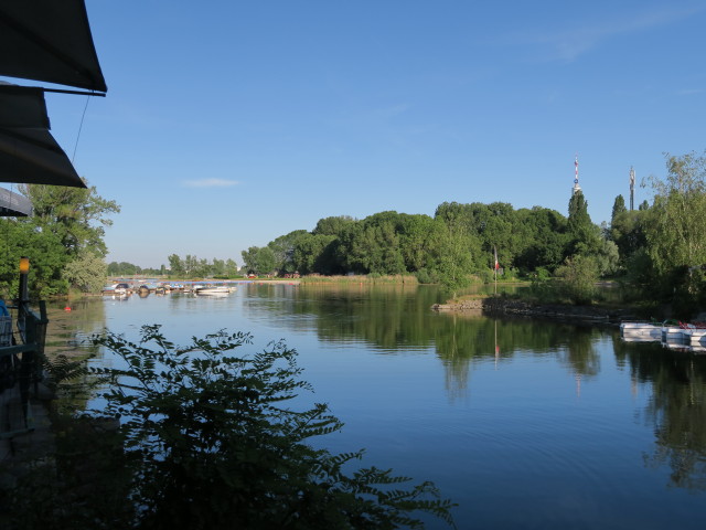 Obere Alte Donau vom La Creperie aus