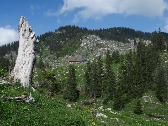 Weg 2 zwischen Höllgrabenbründl und Ybbstaler Hütte (10. Juni)