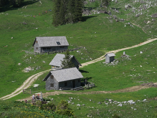 Dürrensteinalm (10. Juni)