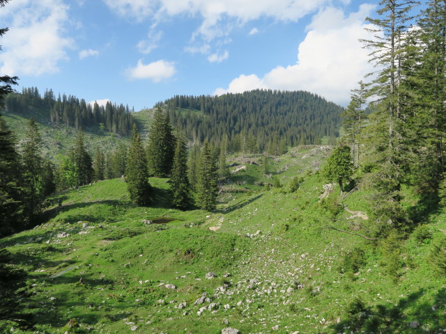 zwischen Ybbstaler Hütte und Noten (10. Juni)