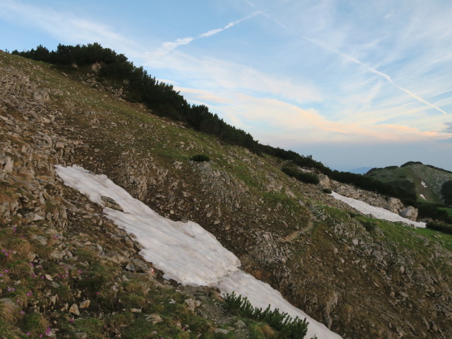 Weg 2 zwischen Legsteinquelle und Dürrenstein (11. Juni)