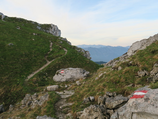 Weg 2 zwischen Legsteinquelle und Dürrenstein (11. Juni)