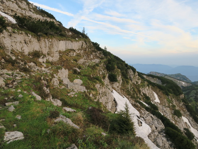 Weg 2 zwischen Legsteinquelle und Dürrenstein (11. Juni)