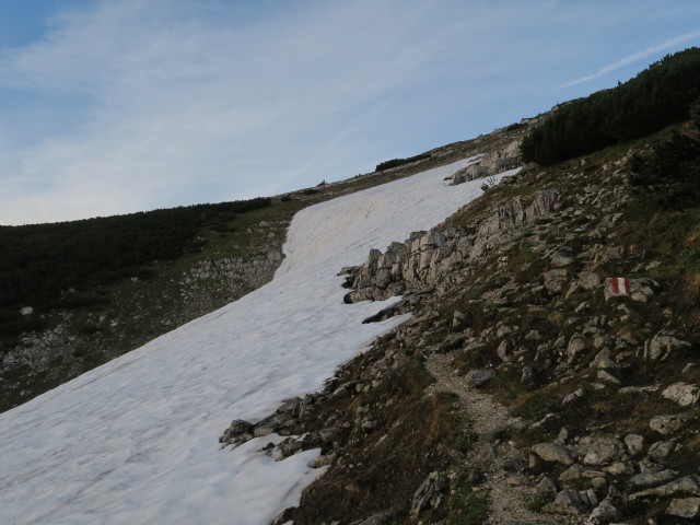 Alpinweg zwischen Weg 2 und Dürrenstein (11. Juni)