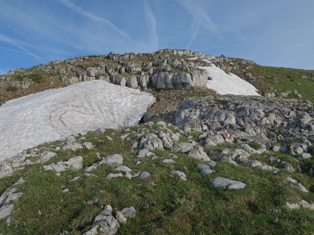 Alpinweg zwischen Dürrenstein und Sperrriedel (11. Juni)