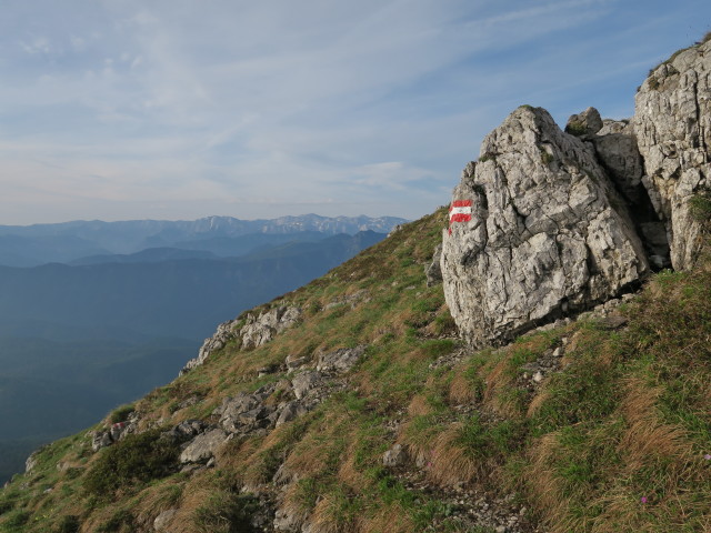 Alpinweg zwischen Dürrenstein und Sperrriedel (11. Juni)