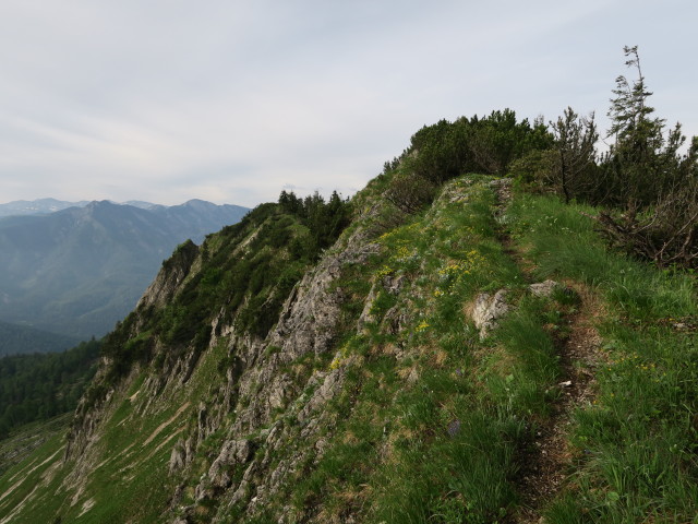 Alpinweg am Sperrriedel (11. Juni)