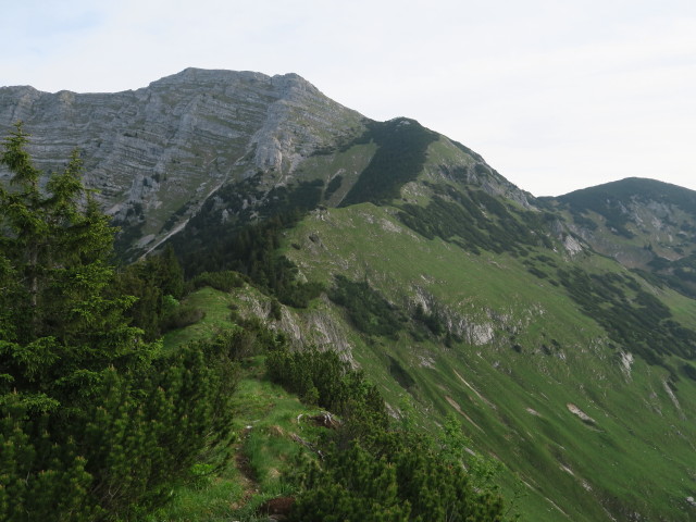 Alpinweg am Sperrriedel (11. Juni)