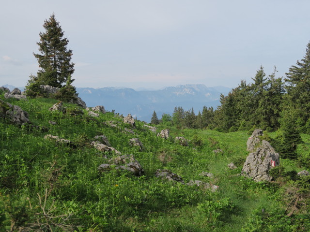 Alpinweg zwischen Sperrriedel und Jagdhütte Edelwies (11. Juni)