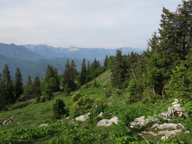 Alpinweg zwischen Sperrriedel und Jagdhütte Edelwies (11. Juni)