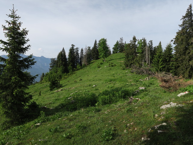 Alpinweg bei der Jagdhütte Edelwies (11. Juni)