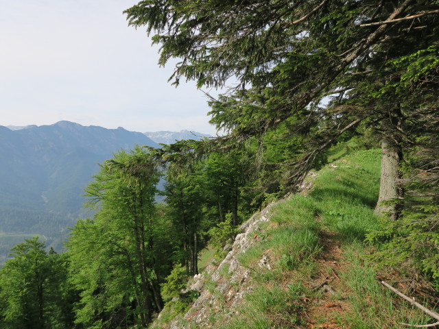 Alpinweg zwischen Jagdhütte Edelwies und Sonnstein (11. Juni)