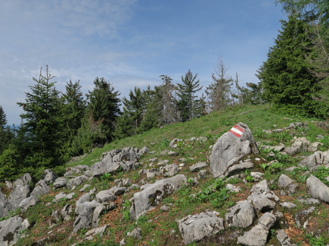 Hochkirch, 1.468 m (11. Juni)