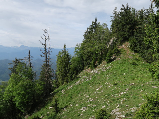 Alpinweg zwischen Hochkirch und Waldsteinsattel (11. Juni)