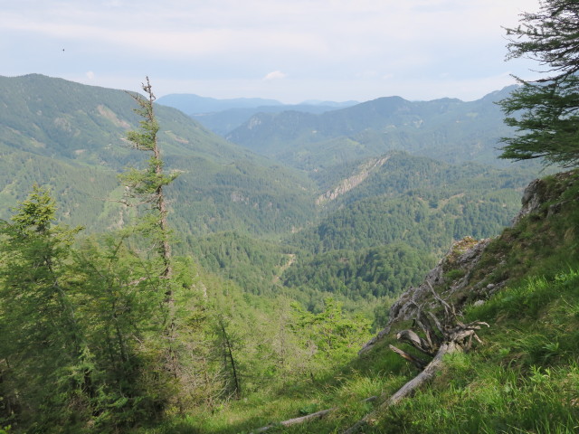 Steinbachtal (11. Juni)