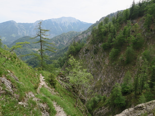 Weg 13 zwischen Tremel und Windischbachau (11. Juni)