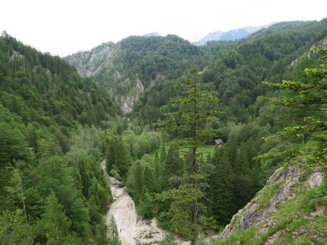 Windischbachau, 646 m (11. Juni)