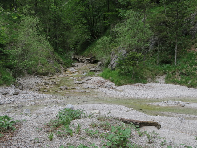 Windischbachau, 646 m (11. Juni)