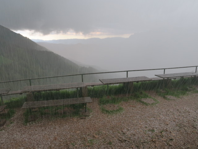 bei der Leobner Hütte, 1.582 m (17. Juni)