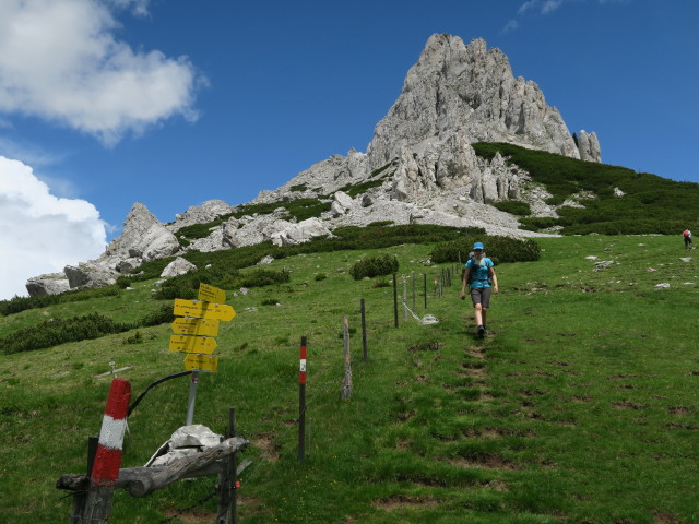 Johanna am Hirscheggsattel, 1.699 m (18. Juni)