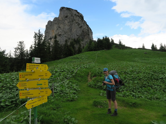 Johanna am Neuwaldeggsattel, 1.575 m (18. Juni)