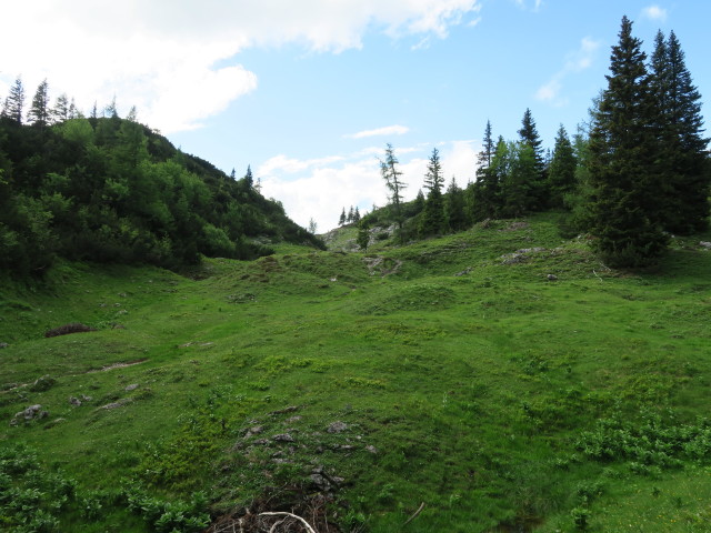 zwischen Dr. Koteksteig und Bärnsbodenalm (18. Juni)