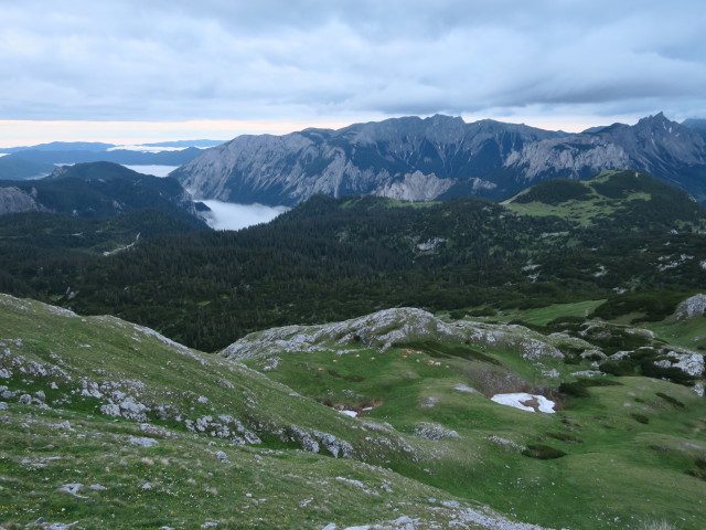 zwischen Zumach und Kleinem Ebenstein (19. Juni)