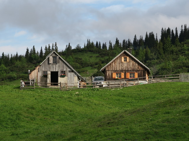 Sonnschienalm (19. Juni)