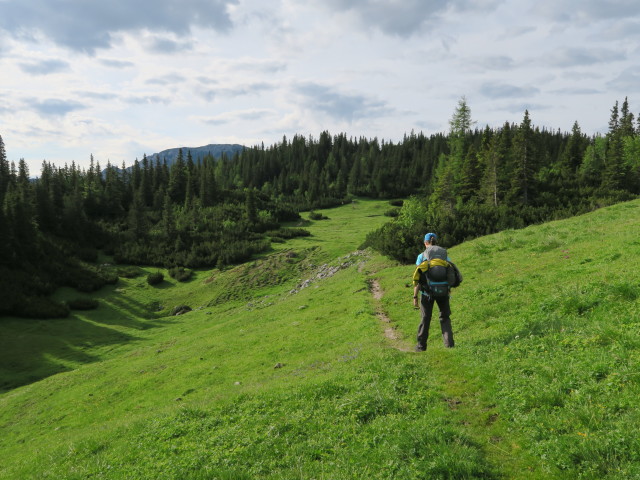 Johanna zwischen Sonnschienalm und Klammboden (19. Juni)