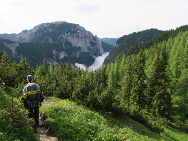 Johanna zwischen Sonnschienalm und Klammboden (19. Juni)