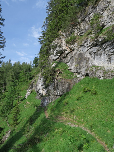 zwischen Sonnschienalm und Klammboden (19. Juni)