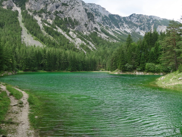 Grüner See (19. Juni)