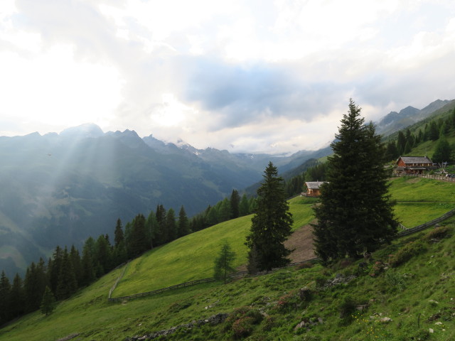 Roaneralm, 1.903 m (1. Juli)