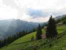 Roaneralm, 1.903 m (1. Juli)